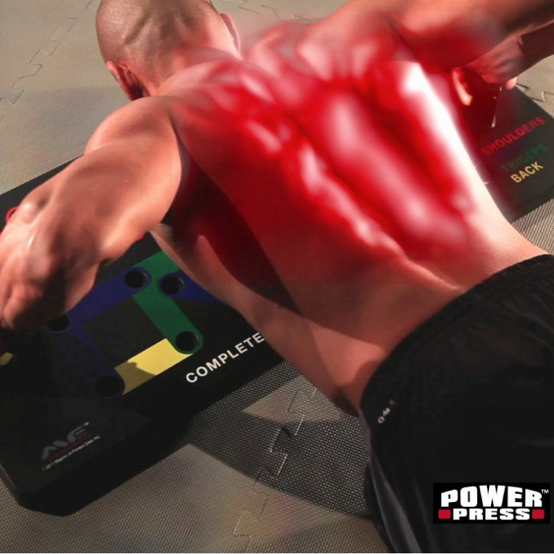 Back view of man using the power press push up board with muscles engaged shown highlighted