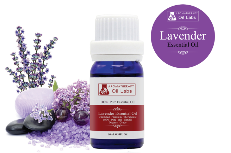 Bulk Lavender Essential Oil 10ml x 3 pack Compound Aromatherapy Massage Therapeutic Skin Care for anxiety, sleep, headaches by  Aromatherapy Oil Labs